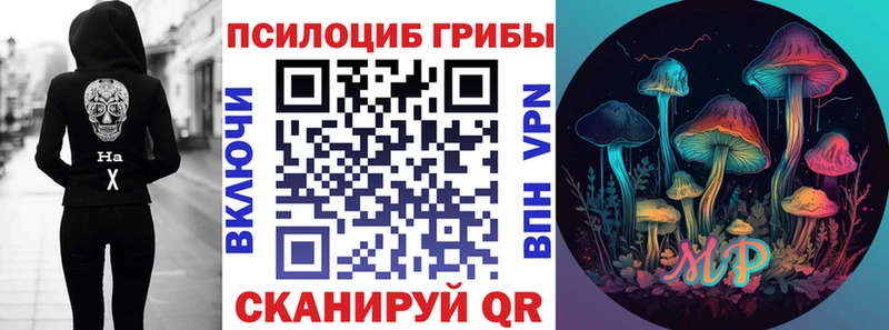 Псилоцибиновые грибы Psilocybine cubensis  Трубчевск 